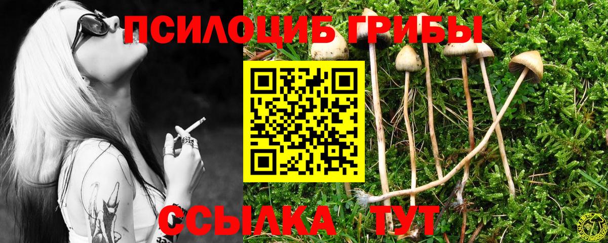 Галлюциногенные грибы Psilocybine cubensis Алатырь
