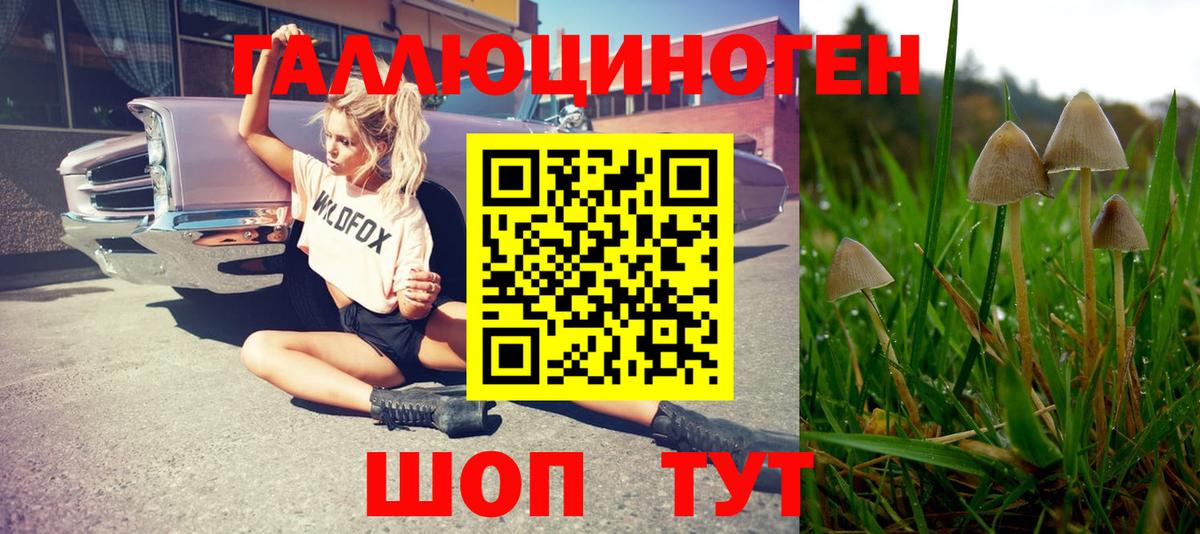 Алатырь  Галлюциногенные грибы Cubensis  Вход с VPN 